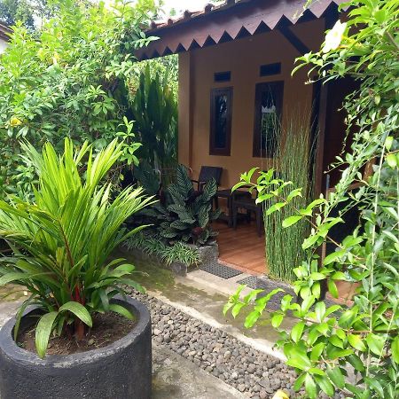 Juda Homestay Banyuwangi  Esterno foto