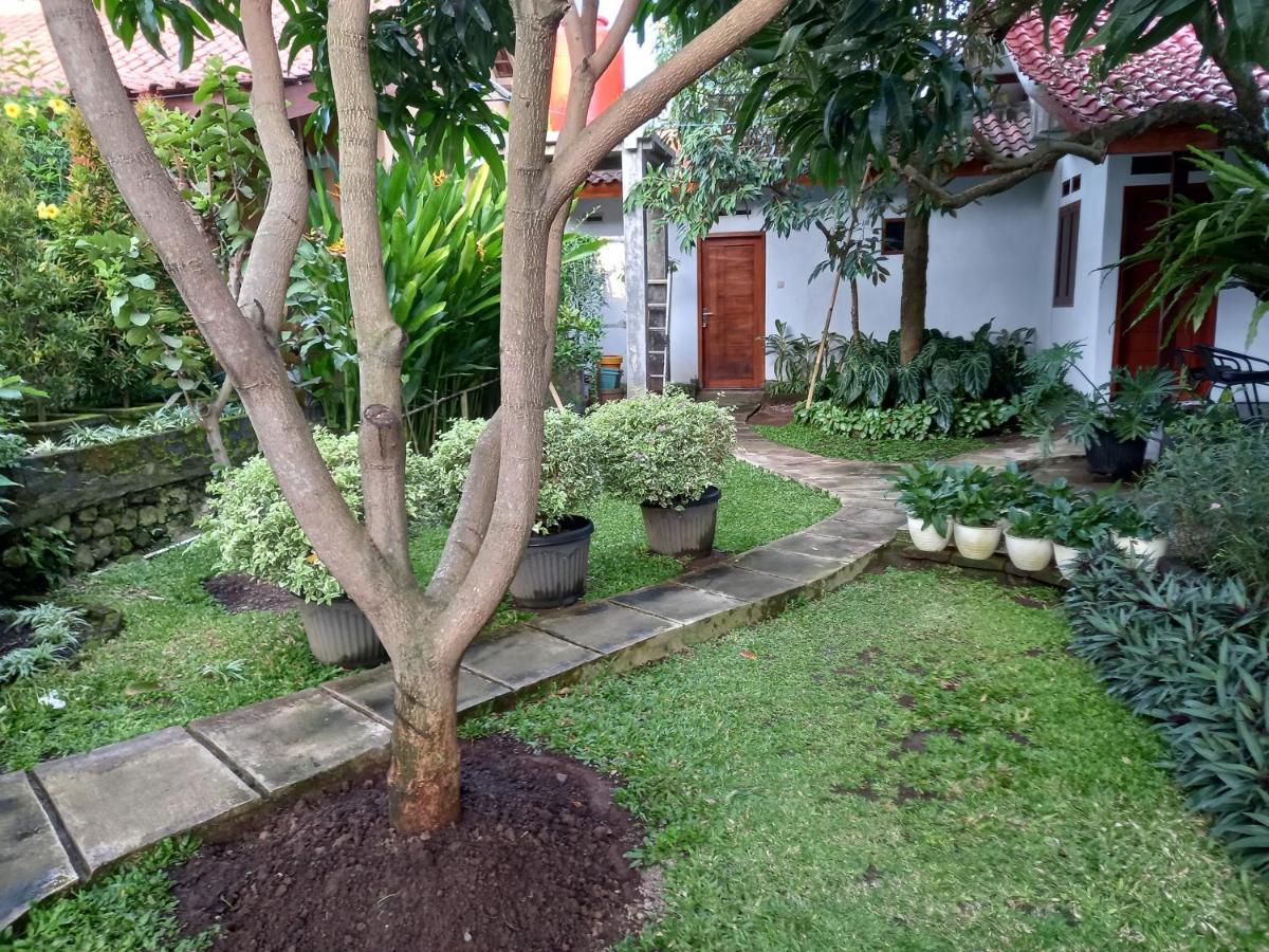 Juda Homestay Banyuwangi  Esterno foto