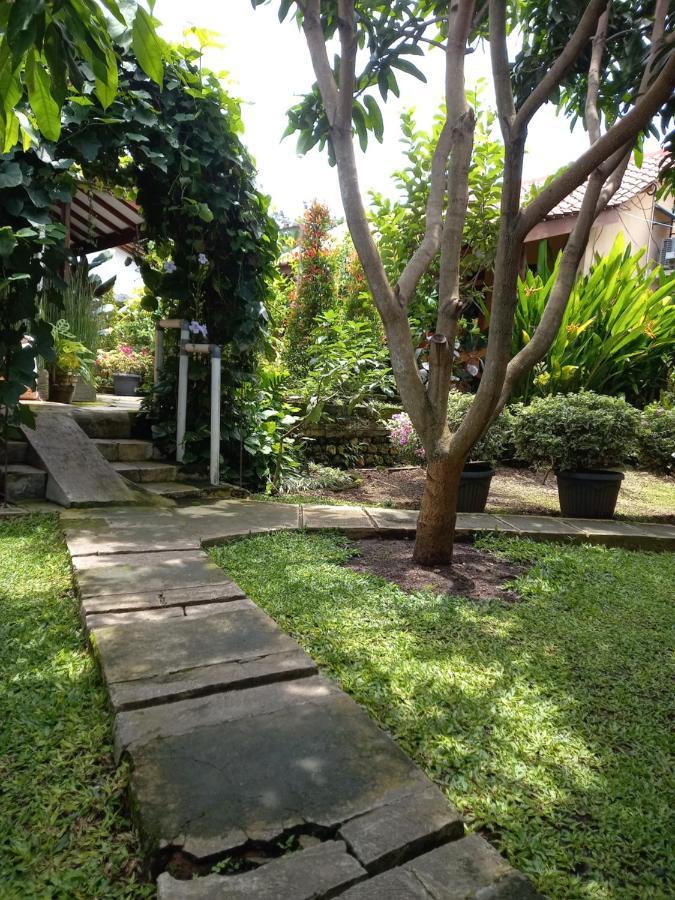 Juda Homestay Banyuwangi  Esterno foto
