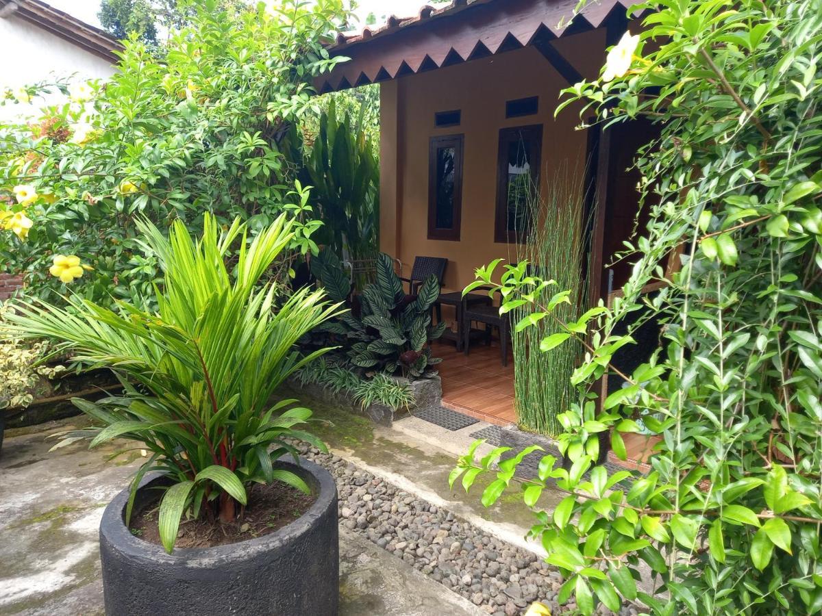 Juda Homestay Banyuwangi  Esterno foto