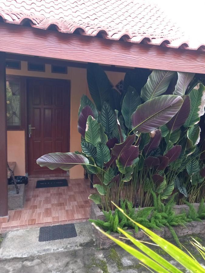 Juda Homestay Banyuwangi  Esterno foto