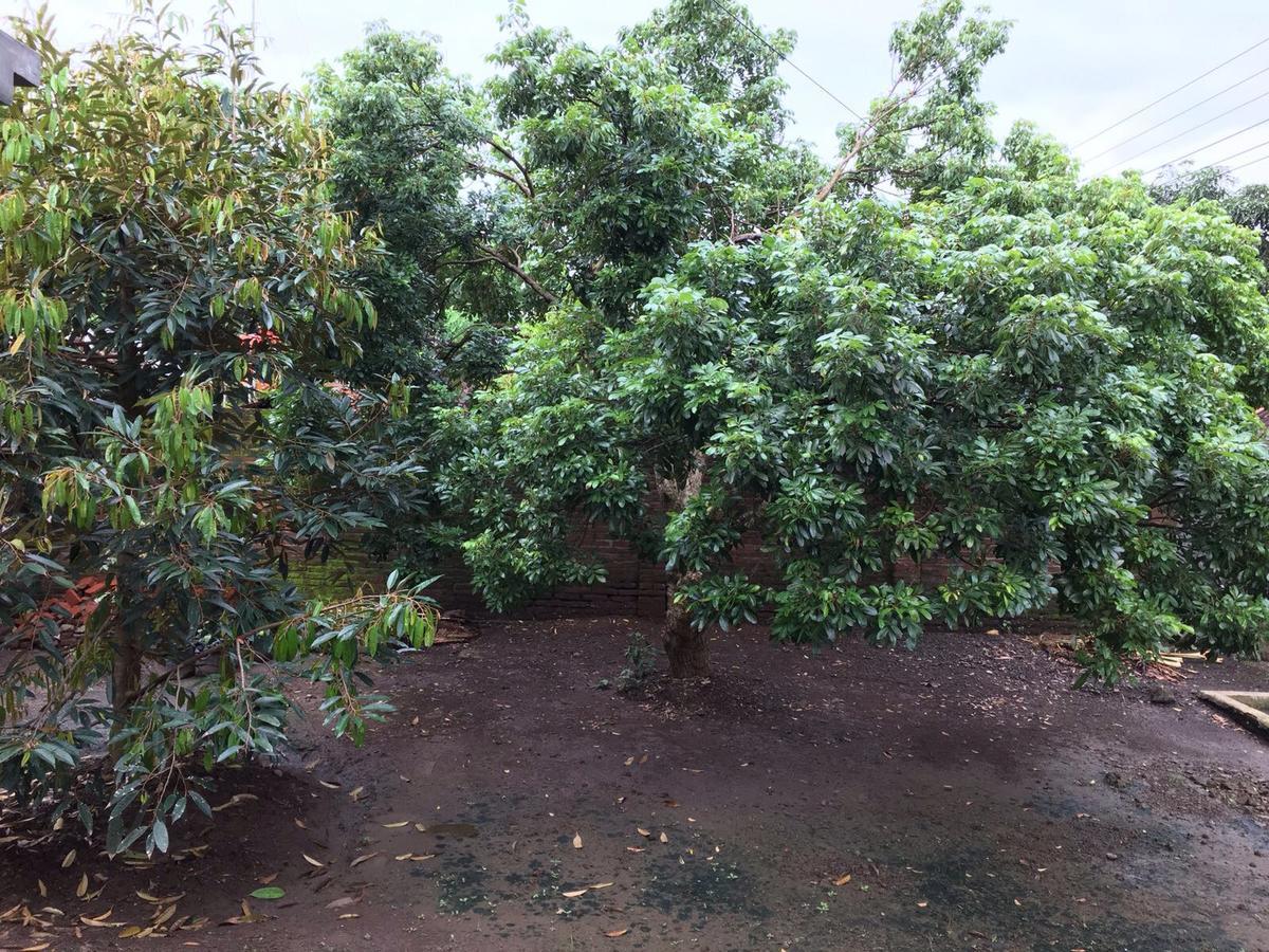Juda Homestay Banyuwangi  Esterno foto