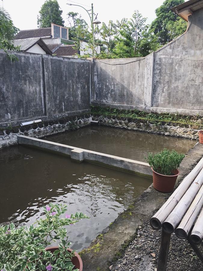 Juda Homestay Banyuwangi  Esterno foto